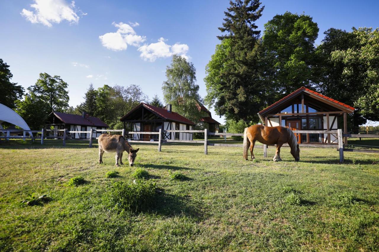 Pferdehof Schorfheide 빌라 외부 사진